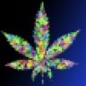 weed