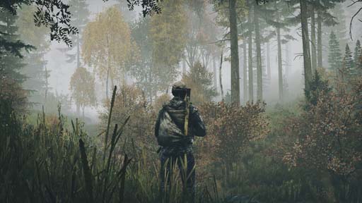 DayZ [Pirate]